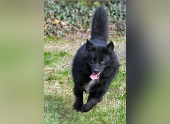 Balou wartet schon so lange...