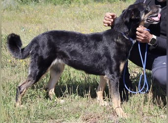 MaMa ❤️ MiMi hat sich aufopferungsvoll gekümmert ~  nun soll auch sie ihr Glück finden