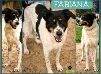 Fabiana ❣️ Ein liebes (großes) Mädchen