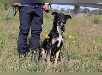 MaMa ❤️ MiMi hat sich aufopferungsvoll gekümmert ~  nun soll auch sie ihr Glück finden