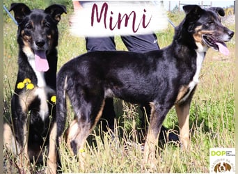 MaMa ❤️ MiMi hat sich aufopferungsvoll gekümmert ~  nun soll auch sie ihr Glück finden