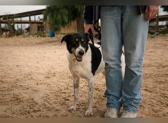 Fabiana ❣️ Ein liebes (großes) Mädchen