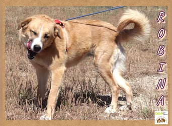 Robina ✴️ sucht einen Kuschelplatz ✴️