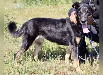 MaMa ❤️ MiMi hat sich aufopferungsvoll gekümmert ~  nun soll auch sie ihr Glück finden