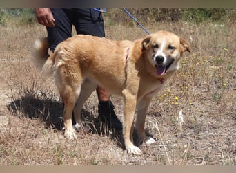 Lieblingsbeschäftigung Kuscheln ❤️ Robina ❤️
