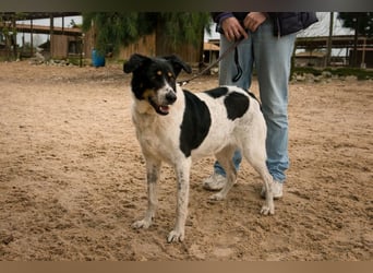 Fabiana ❣️ Ein liebes (großes) Mädchen