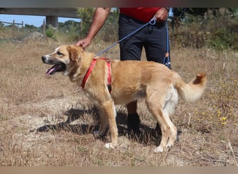 Lieblingsbeschäftigung Kuscheln ❤️ Robina ❤️