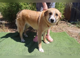 Lieblingsbeschäftigung Kuscheln ❤️ Robina ❤️