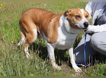 ✴️ PACO ✴️ hat viel Liebe zu geben !