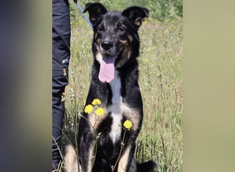 MaMa ❤️ MiMi hat sich aufopferungsvoll gekümmert ~  nun soll auch sie ihr Glück finden