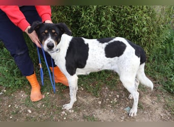 Fabiana ❣️ Ein liebes (großes) Mädchen