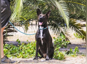 Powerlady Lindinha ❤️ liebt Katzen und Menschen