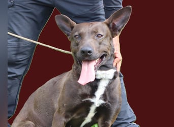 Powerlady Lindinha ❤️ liebt Katzen und Menschen