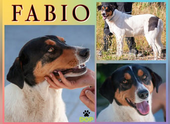 ♦️ F•A•B•I•O ♦️ ist seit 4,5 Jahren im Tierheim in Portugal