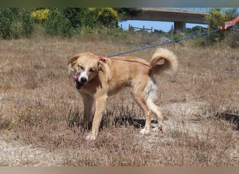 Lieblingsbeschäftigung Kuscheln ❤️ Robina ❤️