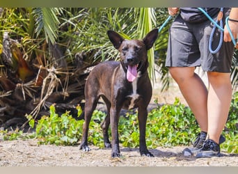 Powerlady Lindinha ❤️ liebt Katzen und Menschen