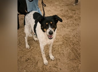 Fabiana ❣️ Ein liebes (großes) Mädchen