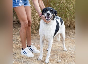 Fabiana ❣️ Ein liebes (großes) Mädchen