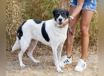 Fabiana ❣️ Ein liebes (großes) Mädchen