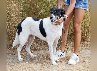 Fabiana ❣️ Ein liebes (großes) Mädchen