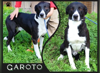 Garoto | so lieb ~ wie hübsch |