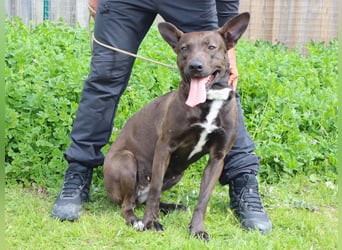 Powerlady Lindinha ❤️ liebt Katzen und Menschen