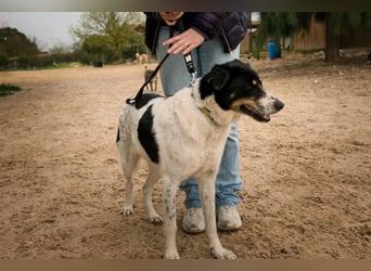 Fabiana ❣️ Ein liebes (großes) Mädchen