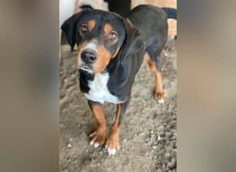 Kabelo, geb. ca. 04/2024, lebt in GRIECHENLAND, auf einer privaten Pflegestelle