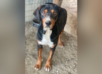 Kabelo, geb. ca. 04/2024, lebt in GRIECHENLAND, auf einer privaten Pflegestelle