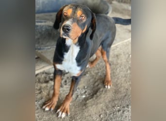 Kabelo, geb. ca. 04/2024, lebt in GRIECHENLAND, auf einer privaten Pflegestelle