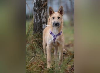 Freundlicher Fred sucht seine Familie