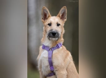 Freundlicher Fred sucht seine Familie