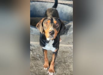 Kabelo, geb. ca. 04/2024, lebt in GRIECHENLAND, auf einer privaten Pflegestelle