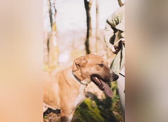 Neugieriger Süleyman sucht sein Zuhause