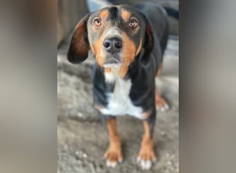 Kabelo, geb. ca. 04/2024, lebt in GRIECHENLAND, auf einer privaten Pflegestelle