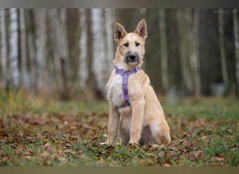 Freundlicher Fred sucht seine Familie