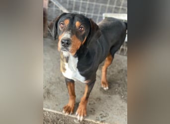 Kabelo, geb. ca. 04/2024, lebt in GRIECHENLAND, auf einer privaten Pflegestelle