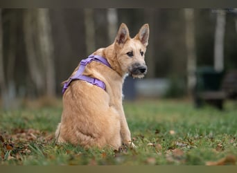 Freundlicher Fred sucht seine Familie