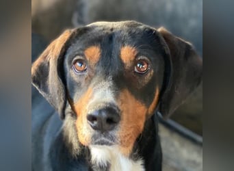 Kabelo, geb. ca. 04/2024, lebt in GRIECHENLAND, auf einer privaten Pflegestelle