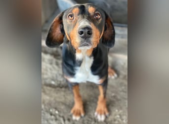 Kabelo, geb. ca. 04/2024, lebt in GRIECHENLAND, auf einer privaten Pflegestelle