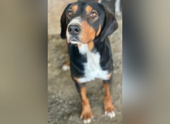 Kabelo, geb. ca. 04/2024, lebt in GRIECHENLAND, auf einer privaten Pflegestelle