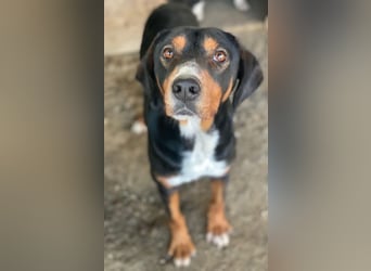 Kabelo, geb. ca. 04/2024, lebt in GRIECHENLAND, auf einer privaten Pflegestelle