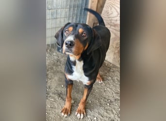 Kabelo, geb. ca. 04/2024, lebt in GRIECHENLAND, auf einer privaten Pflegestelle