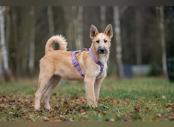 Freundlicher Fred sucht seine Familie