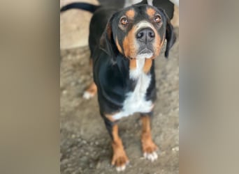 Kabelo, geb. ca. 04/2024, lebt in GRIECHENLAND, auf einer privaten Pflegestelle