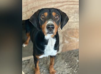 Kabelo, geb. ca. 04/2024, lebt in GRIECHENLAND, auf einer privaten Pflegestelle