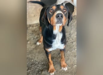 Kabelo, geb. ca. 04/2024, lebt in GRIECHENLAND, auf einer privaten Pflegestelle