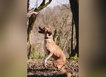 Neugieriger Süleyman sucht sein Zuhause