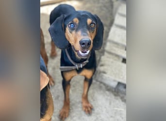 Nemo, geb. ca.  11/2024 lebt in GRIECHENLAND, auf einer privaten Pflegestelle