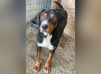 Kabelo, geb. ca. 04/2024, lebt in GRIECHENLAND, auf einer privaten Pflegestelle